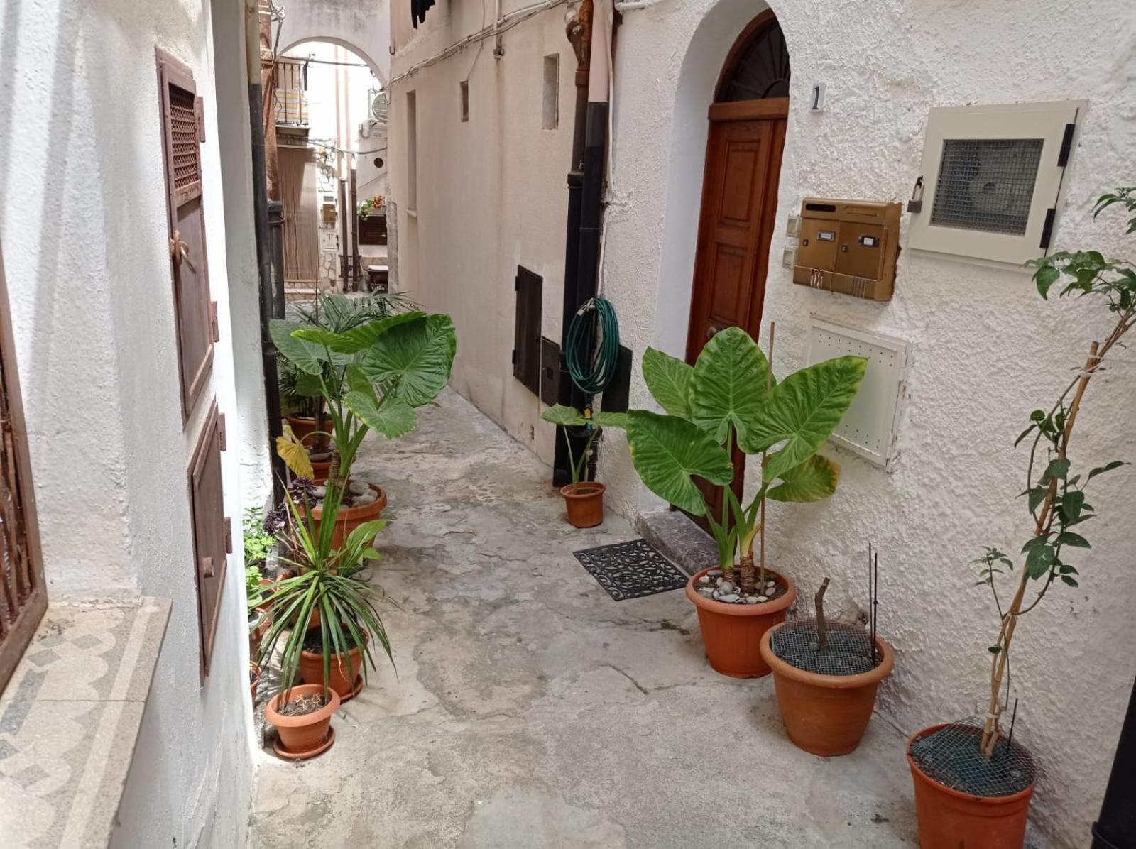 Cortile Maggiore Home Чефалу Екстер'єр фото